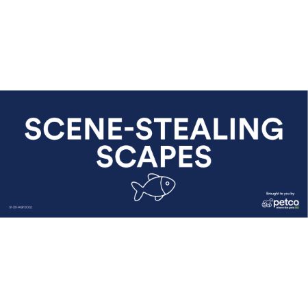 Picture of JAN-26 HOLLYWOOD FAVORITES