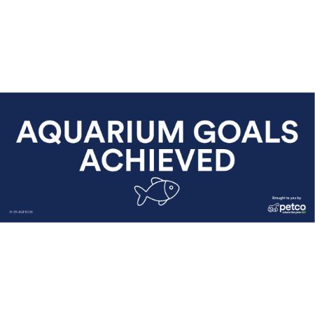 Picture of JAN-26 IMAGITARIUM OPEN GLASS