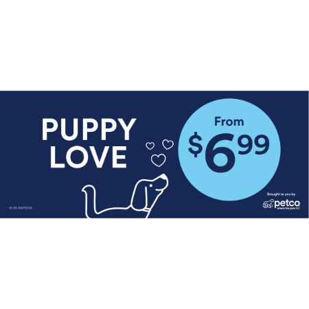 Picture of JAN-26 KONG PUPPY & V-DAY DOG TOYS