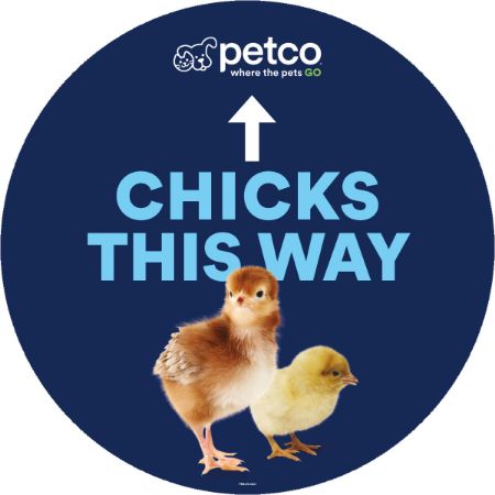 Picture of FEB-26 CHICK SEASON