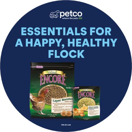 Picture of FEB-26 CHICK SEASON