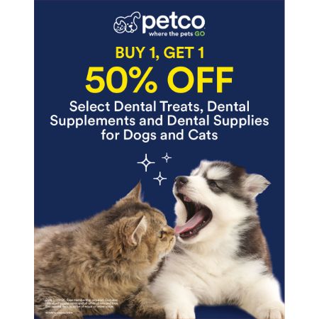 Picture of FEB-26 PRIORITY (DENTAL OFFER)