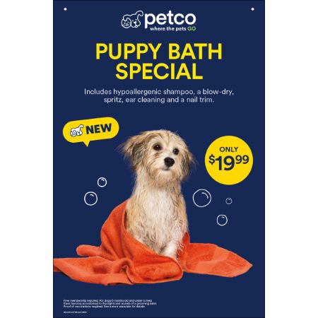 Picture of FEB-26 GROOMING PRIORITY