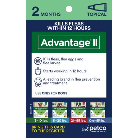 Picture of FEB-26-PB DG PEST 4X6 PROXY CARD-TOPICAL-ADVANTAGE II 2M