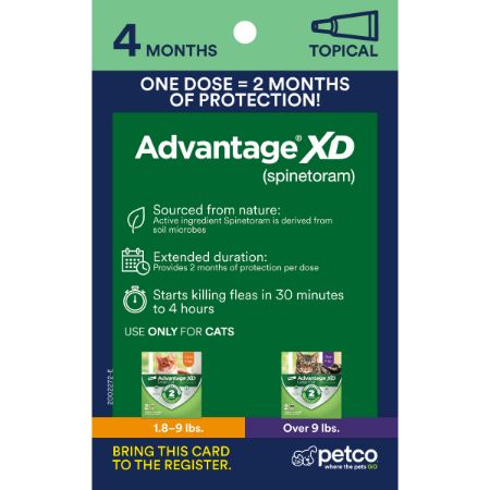 Picture of FEB-26-PB CT PEST 4X6 PROXY CARD-TOPICAL-ADVANTAGE XD 4M