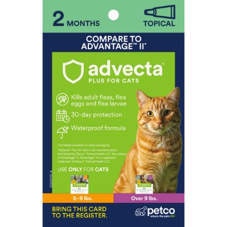 Picture of FEB-26-PB CT PEST 4X6 PROXY CARD-TOPICAL-ADVECTA 2M