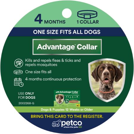 Picture of FEB-26-PB PEST 3X5 PROXY CARD-PREVENT-ADVANTAGE COLLAR