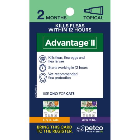 Picture of FEB-26-PB CT PEST 3X5 PROXY CARD-PREVENT-ADVANTAGE II 2M