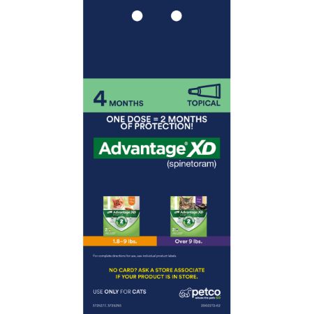 Picture of FEB-26-PB CT PEST 4X6 PROXY CARD-TOPICAL-ADVANTAGE XD 4M-BACKER