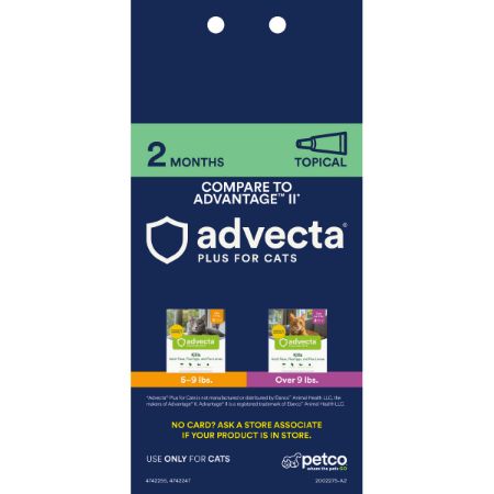 Picture of FEB-26-PB CT PEST 4X6 PROXY CARD-TOPICAL-ADVECTA 2M-BACKER