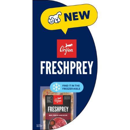 Picture of MAR-26 PROMO VIOLATOR