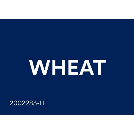 Picture of MAR-26 CT LTR ATT LBL-WHEAT