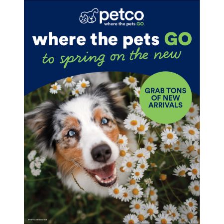 Picture of MAR-26 Priority