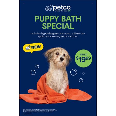 Picture of MAR-26 Grooming Window Poster