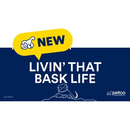 Picture of MAR-26 ENDCAP HEADER INSERT