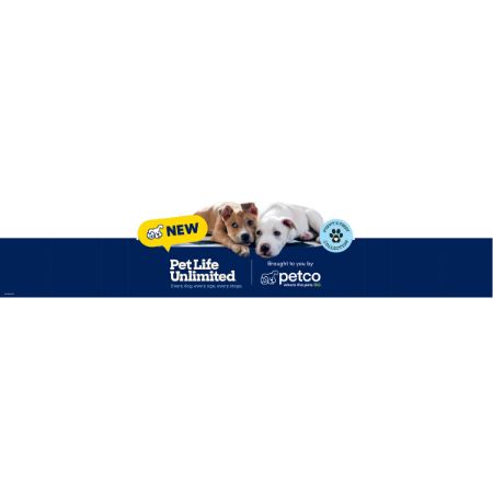 Picture of MAR-26 ENHANCED TEARDOWN HEADER