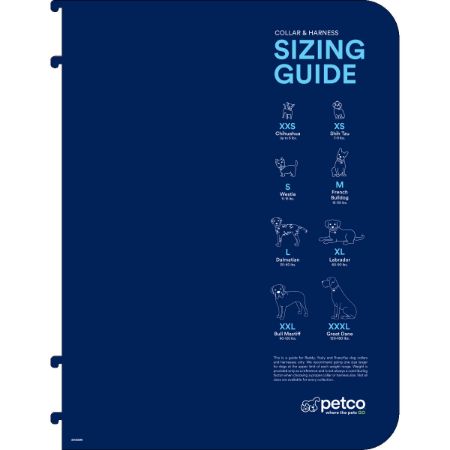 Picture of MAR-26 DG C&L VIOLATOR-SIZE CHART