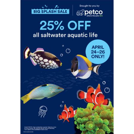 Picture of APR-26 Fishboard Stanchion (Spring Cleaning/Big Splash Sale)