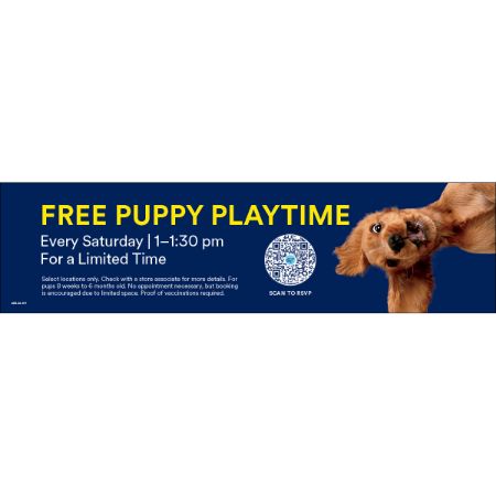 Picture of APR-26 Dog Training Kiosk Top Insert