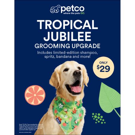 Picture of MAY-26 Grooming A-Frame