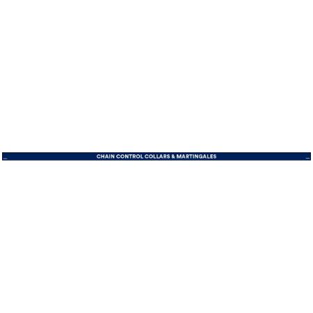 Picture of JUN-25 SPECIALTY LEADS & COLLARS PRICE STRIP 47.75" x 1.25"