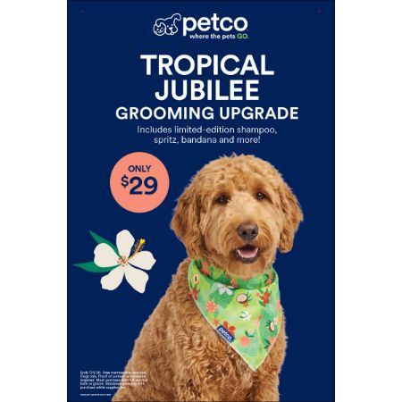 Picture of JUN-25 Grooming Window Poster