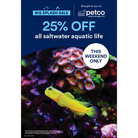 Picture of AUG-26 FISHBOARD STANCHION (8/21-8/23-Big Splash Sale)
