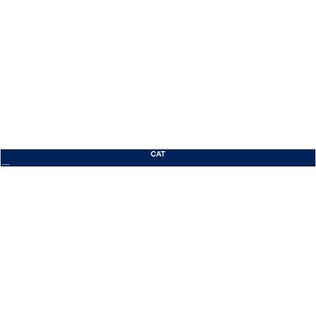 Picture of AUG-26 Cat Strip PRICE SIGN (RIGID)