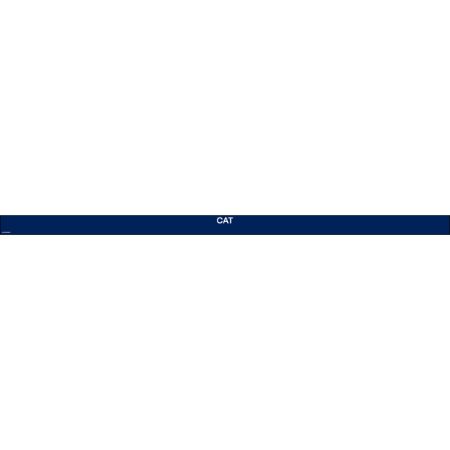Picture of AUG-26 Cat Strip PRICE SIGN (RIGID)