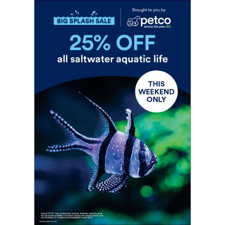 Picture of SEPT-26 FISHBOARD STANCHION (9/11-9/13 BIG SPLASH SALE NEED OFFER)