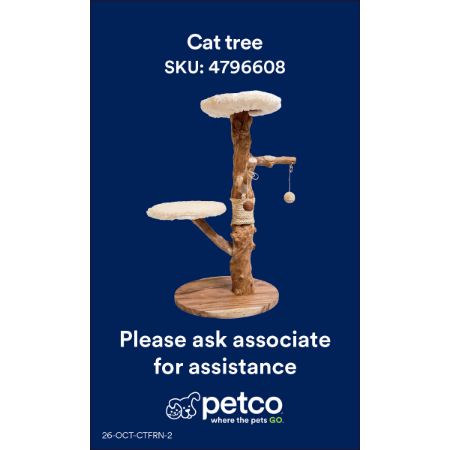 Picture of OCT-26 CT FRN 3X5 CARD INSERT-WOOD TREE