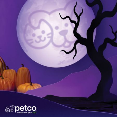 Picture of OCT-26 Halloween Photo Backdrop