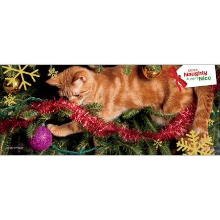 Picture of NOV-26 ENDCAP HEADER INSERT