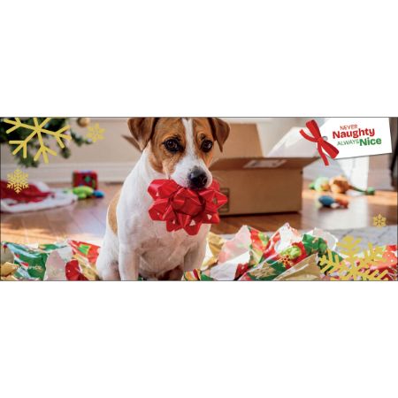 Picture of NOV-26 ENDCAP HEADER INSERT