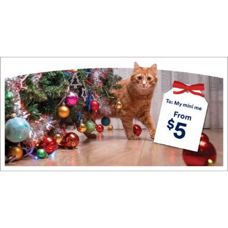 Picture of NOV-26 SEASONAL WALL HEADER - RIGHT